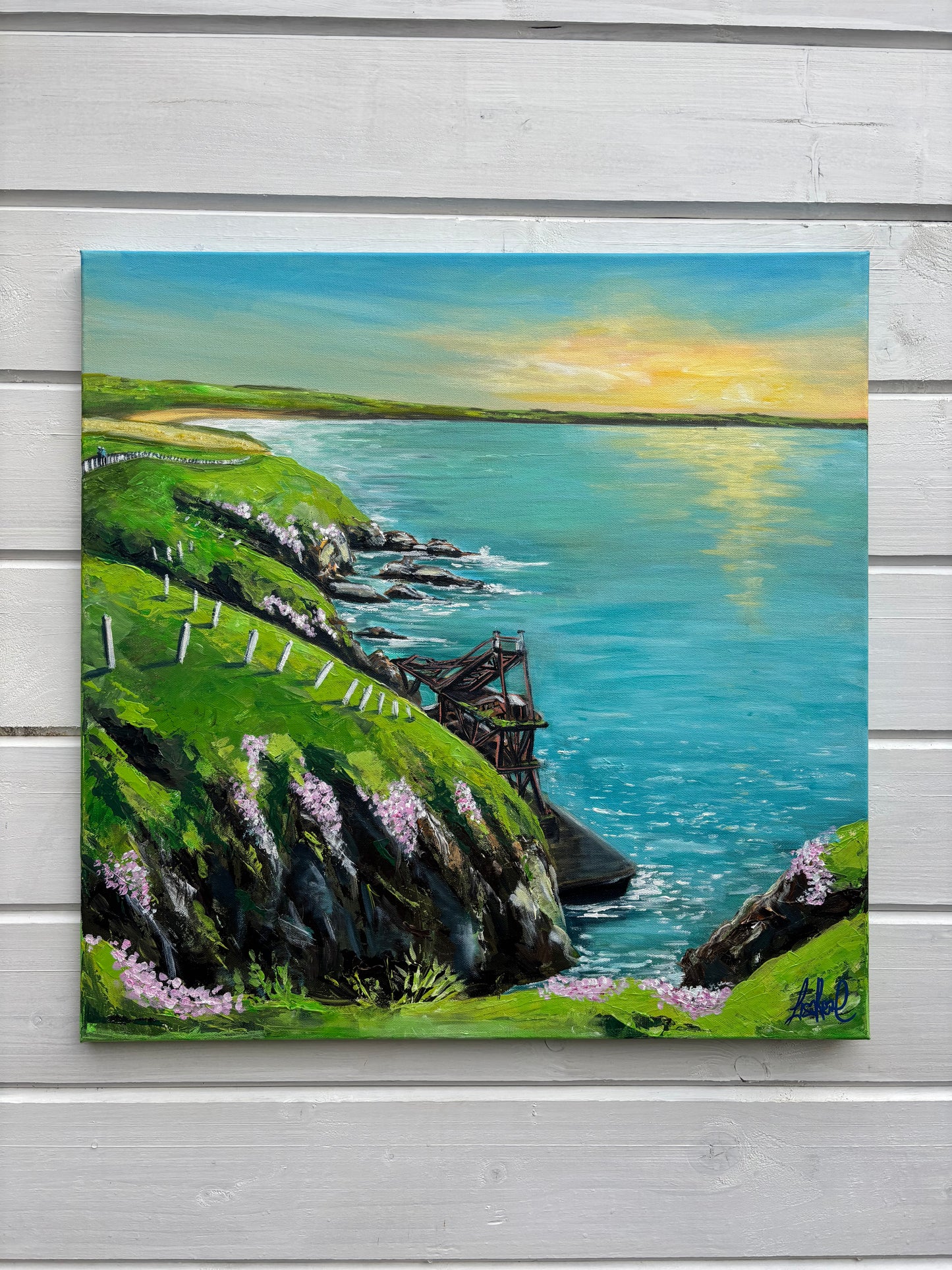 Ardmore Cliff Walk