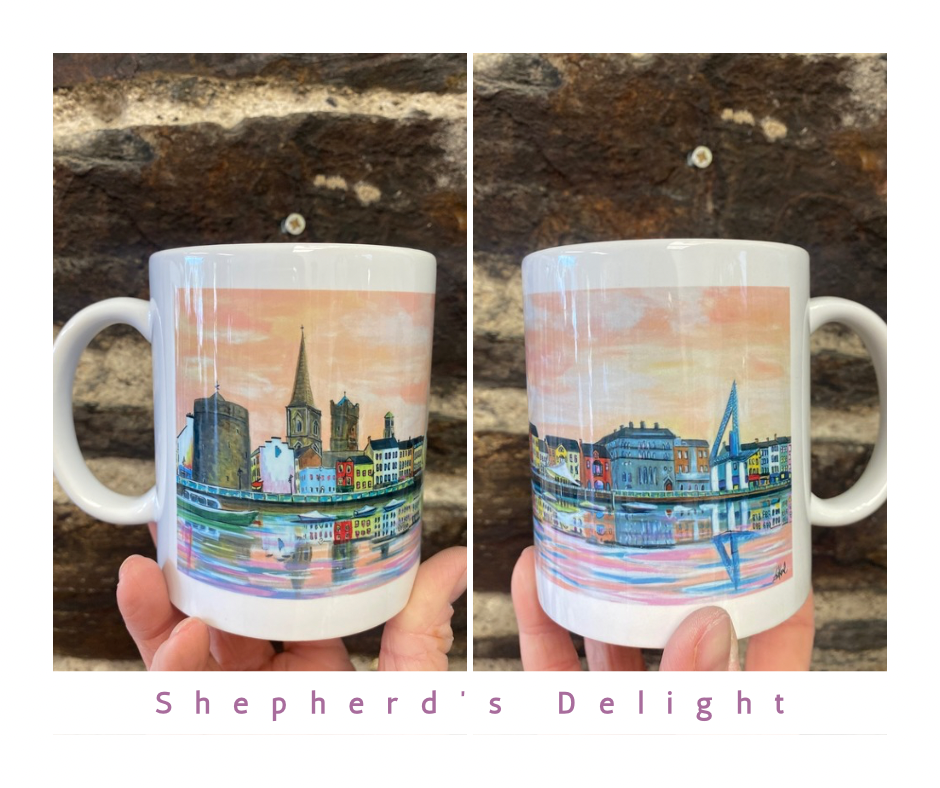Waterford Mug